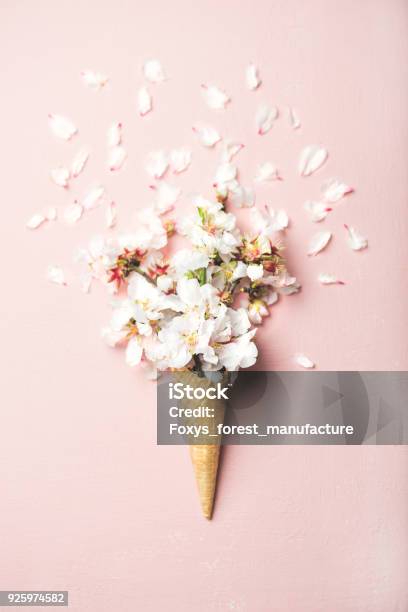 Waffle Cone With White Almond Blossom Flowers Stock Photo - Download Image Now - Flower, Ice Cream, Summer