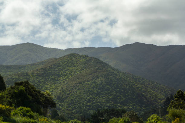 istock Green mountains in New Zealand 925977792