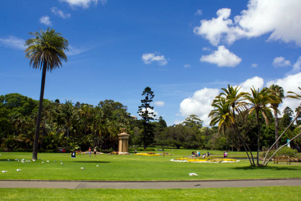 Royal Botanic garden with palm trees