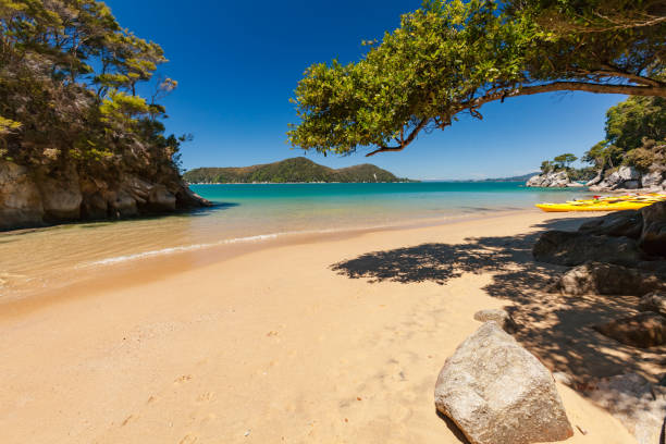 Abel Tasman National Park, New Zealand. Beach at Abel Tasman National Park, New Zealand. abel tasman national park stock pictures, royalty-free photos & images