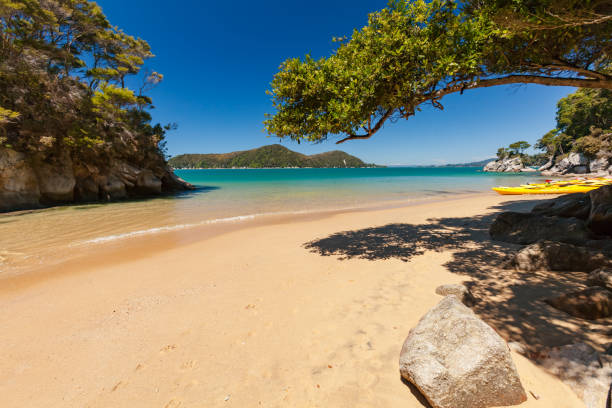 park narodowy abel tasman, nowa zelandia. - abel tasman national park zdjęcia i obrazy z banku zdjęć