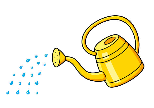 Watering Can And Water Drops Stock Illustration - Download Image Now - Agriculture, Bucket, Can - iStock Watering Can And Water Drops Stock Illustration - Download Image Now - Agriculture, Bucket, Can - iStock