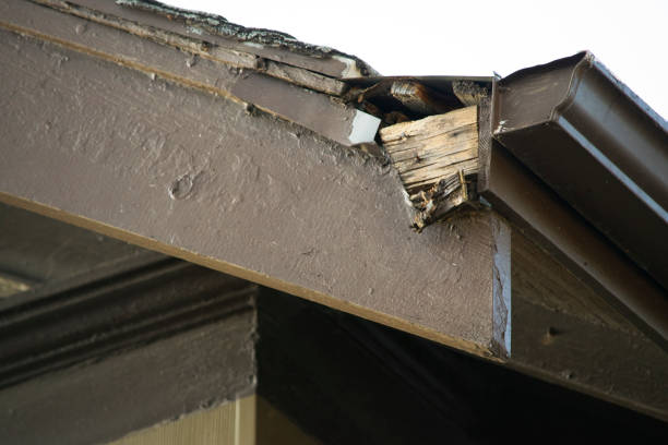 istock Damaged and old roofing shingles on a house 925998450