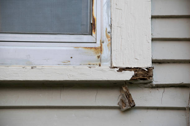 istock Damaged and old windows on a house 926000612