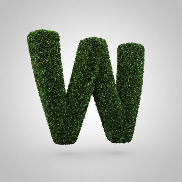 istock Grass letter W uppercase isolated on white background 926000724
