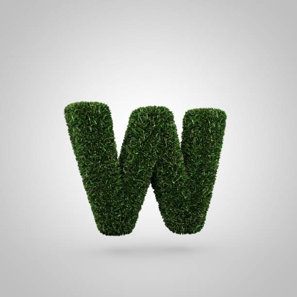 istock Grass letter W lowercase isolated on white background 926000728
