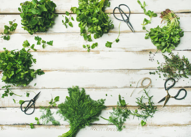 istock Various fresh green kitchen herbs over wooden background, copy space 926010346