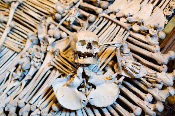 Ancient human skull and bone decoration in Sedlec, Czech republic. Kutna Hora.