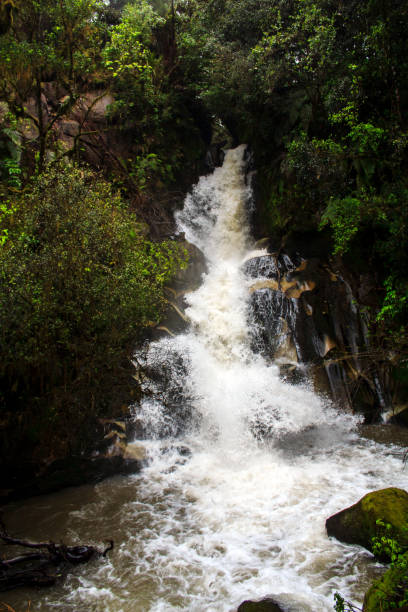 istock Powerful New Zealand Waterfall 926016254