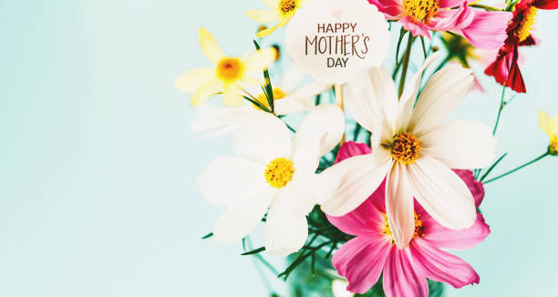 vibrant mother's day bouquet with message - cosmos flower cut flowers daisy family blue imagens e fotografias de stock