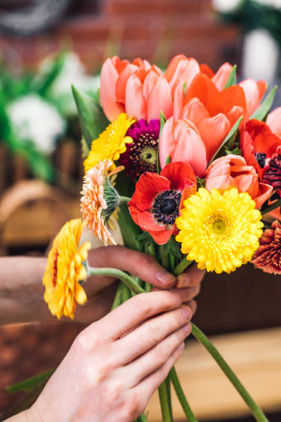 istock Crop female hands holding colorful flowers 926026542
