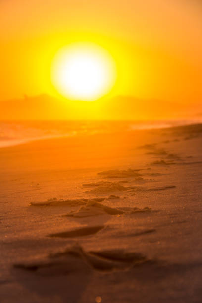 istock Footsteps in the sand during sunset on the beach 926033920