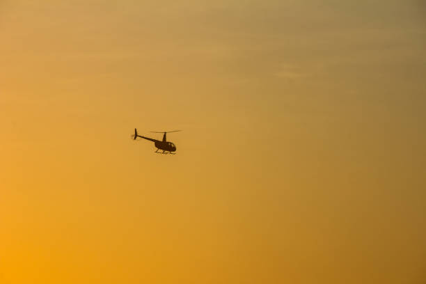 istock seagul flying during a beautiful orange sunset 926033934