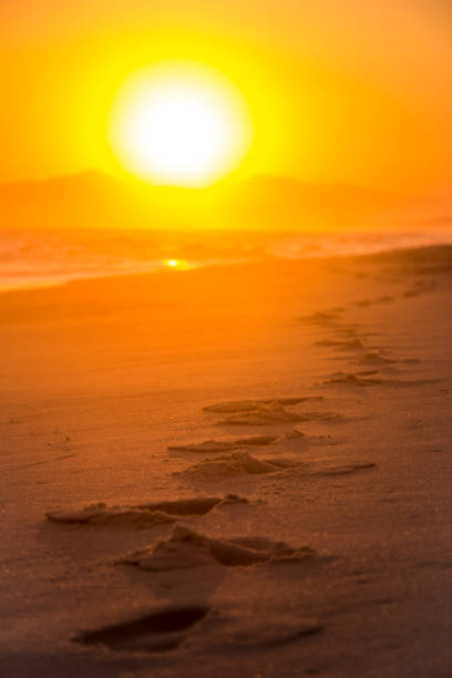 istock Footsteps in the sand during sunset on the beach 926033936