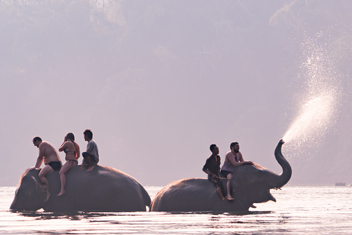 KANCHANABURI, THAILAND - FEB, 2018 : underexposure and soft focus of tourism ride the elephant to take a shower at Kwai river, travel and adventure activity in Thailand