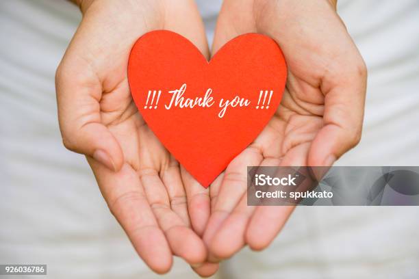 Foto de Mão De Mulher Jovem Segurando Papel Coração Vermelho Com Mensagem De Agradecimento Conceito Grato e mais fotos de stock de Thank You