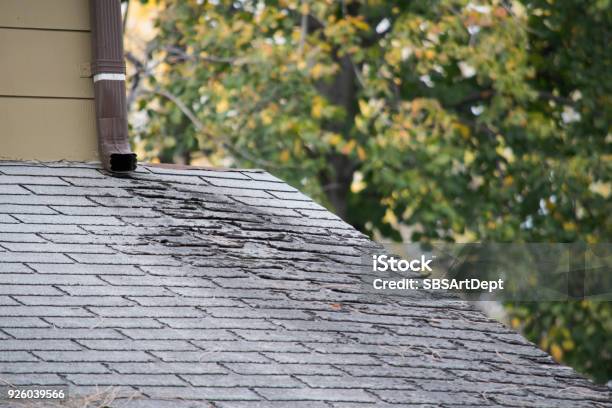 Damaged And Old Roofing Shingles On A House Stock Photo - Download Image Now - Rooftop, Damaged, Leaking