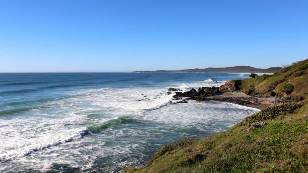 istock Minnie Water Beach, north coast NSW 926043868