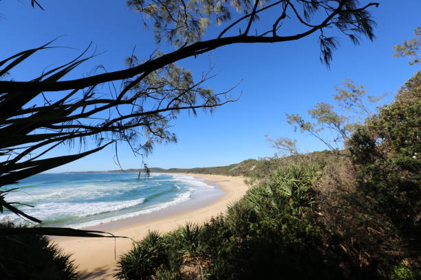 istock Minnie Water Beach, north coast NSW 926043936