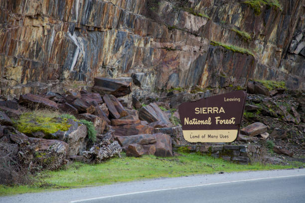 leaving sierra national forest sign - sierra imagens e fotografias de stock