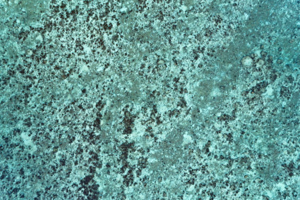 istock Reef, Aerial looking straight down, Textures of Nature, Thailand 926044600