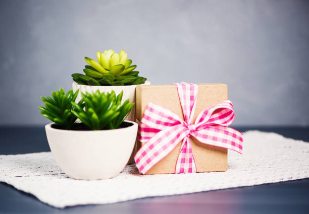 istock Desk with succulent plants and gift 926047138