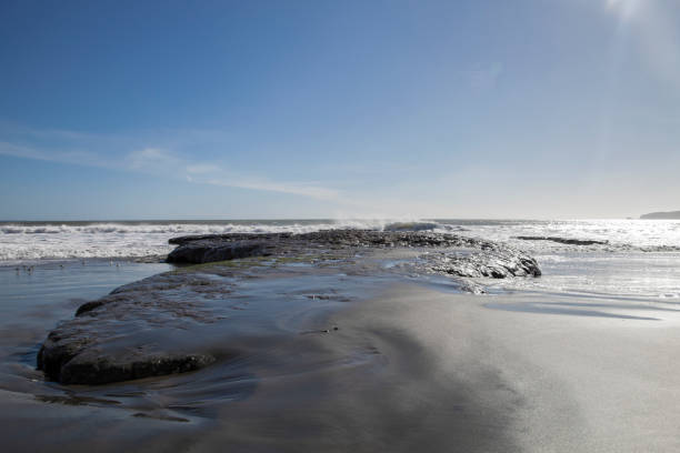 istock Drakes Beach at Point Reyes National Seashore 926048320