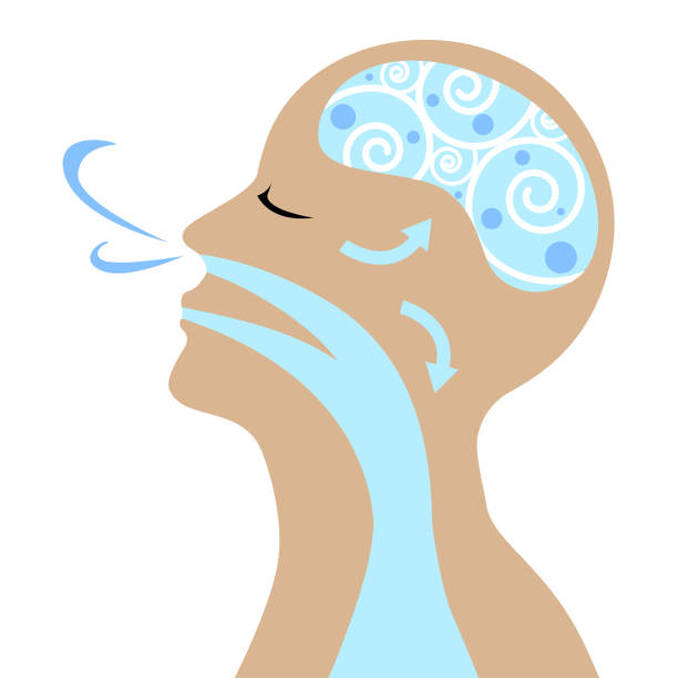 breathe Vector of people to breathe for good health. inhaling stock illustrations