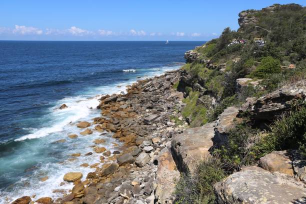 istock Manly and Shelly Beach, Sydney NSW 926051950