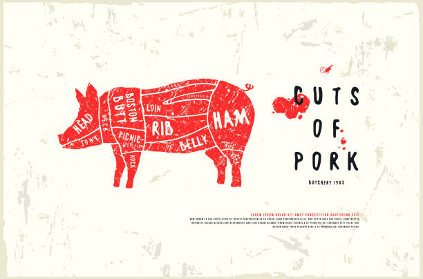 Stock vector pork cuts diagram Stock vector pork cuts diagram in the style of handmade graphics. Illustration with rough texture. Color print on white background pork loin stock illustrations