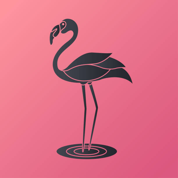 flamingo  vector illustration vector art illustration