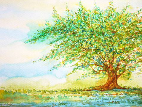 big tree in grass field and blue sky, watercolor painting on paper hand drawn, minimal