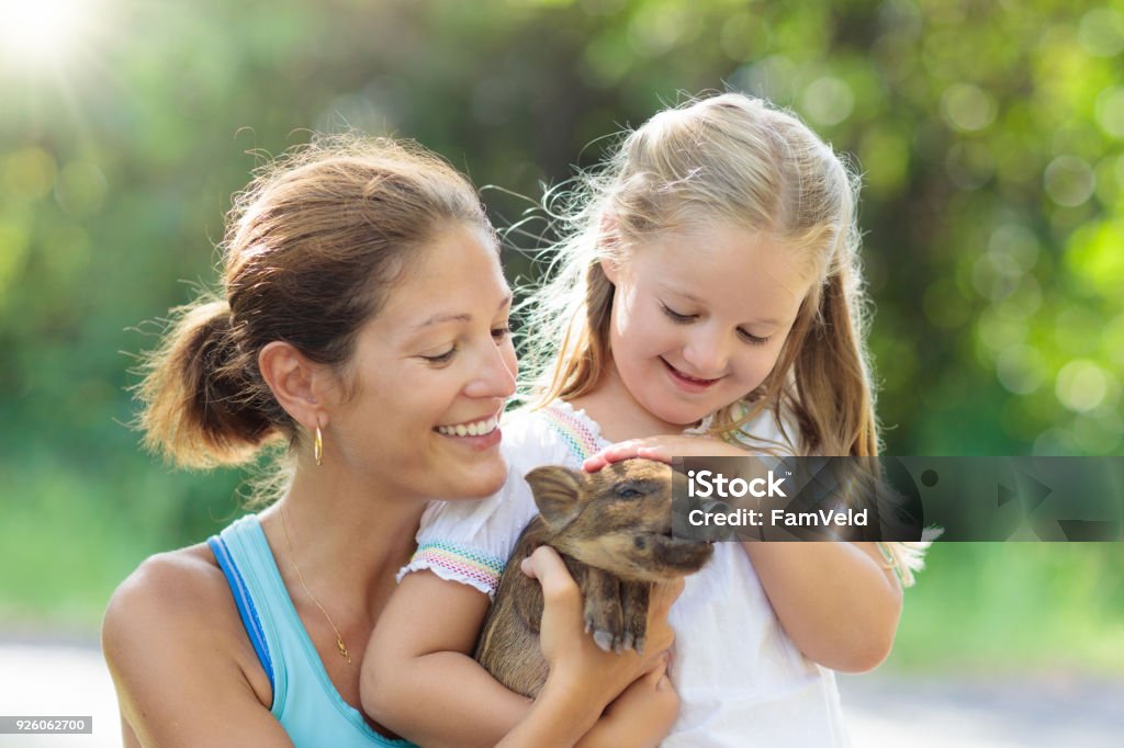Kids and farm animals. Child with baby pig at zoo. Kids play with farm animals. Child feeding domestic animal. Young mother and little girl holding wild boar baby at petting zoo. Kid playing with newborn pig. Children and pets. Family at farm vacation Pig Stock Photo