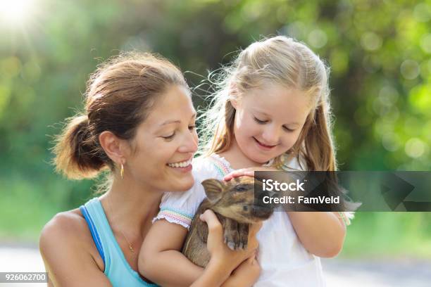 Kids And Farm Animals Child With Baby Pig At Zoo Stock Photo - Download Image Now - Pig, Child, Petting Zoo