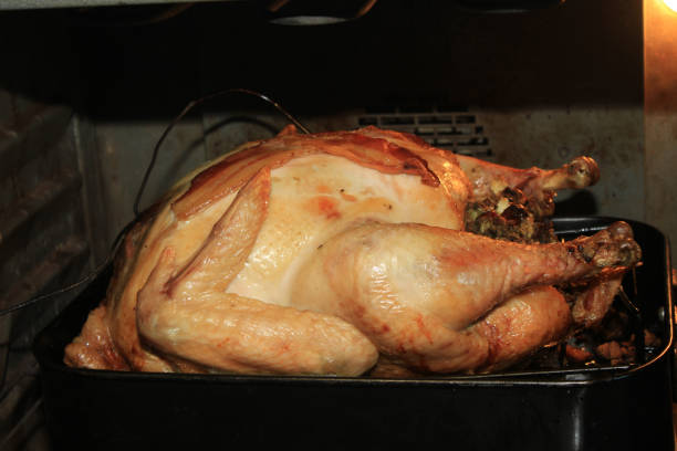 istock Holiday Turkey in the oven 926062950