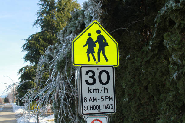 istock Yellow school sign coated in ice 926063012