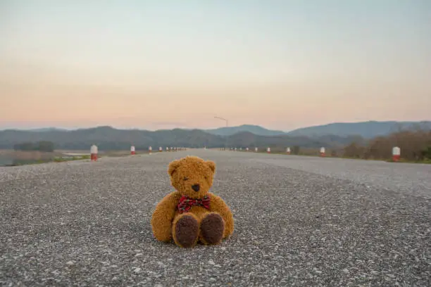 Photo of Teddy bear sitting on the street in the evening.