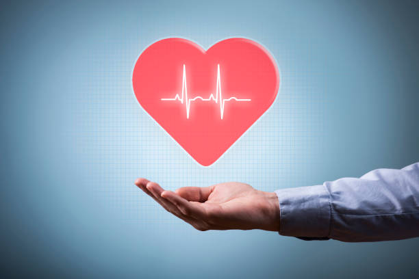 istock Female hand holding heart with pulse trace (Click for more) 926066034