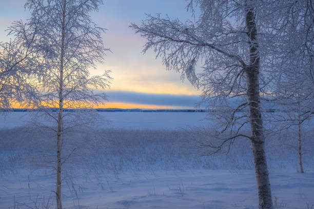 istock Winter landscape from Sotkamo, Finland. 926078456