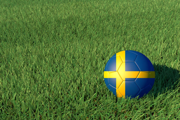Sweden, Swedish Soccer Ball on a grass field