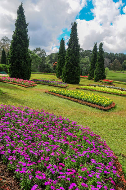 istock National Kandawgyi Gardens, Pyin Oo Lwin, Myanmar 926089430