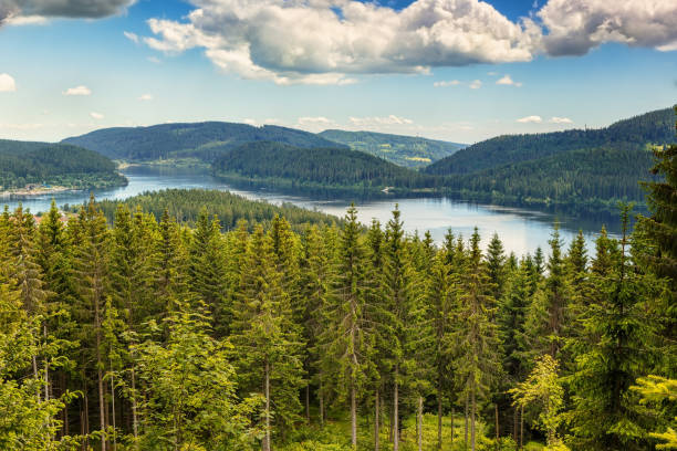 panoramic view lake schluchsee. black forest. baden-wuerttemberg region - germany reservoir water tree imagens e fotografias de stock