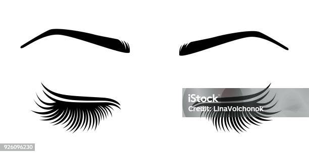 Vector Illustration Of Lashes And Brow Stock Illustration - Download Image Now - Eyelash, Eyebrow, Vector