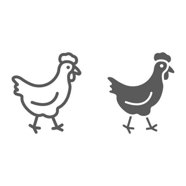 huhn-linie und glyph-symbol, landwirtschaft und landwirtschaft, tiere vogel-vektor-grafiken, ein lineares muster auf weißem hintergrund, eps 10. - livestock isolated young animal chicken stock-grafiken, -clipart, -cartoons und -symbole