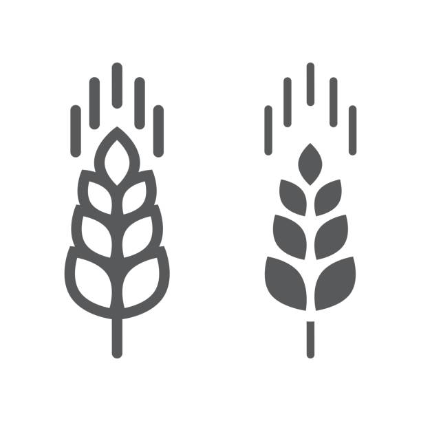 ilustraciones, imágenes clip art, dibujos animados e iconos de stock de línea de oreja de trigo e icono de glifo, agricultura y, signo de grano de vectores gráficos, un patrón linear sobre un fondo blanco, eps 10. - wheat