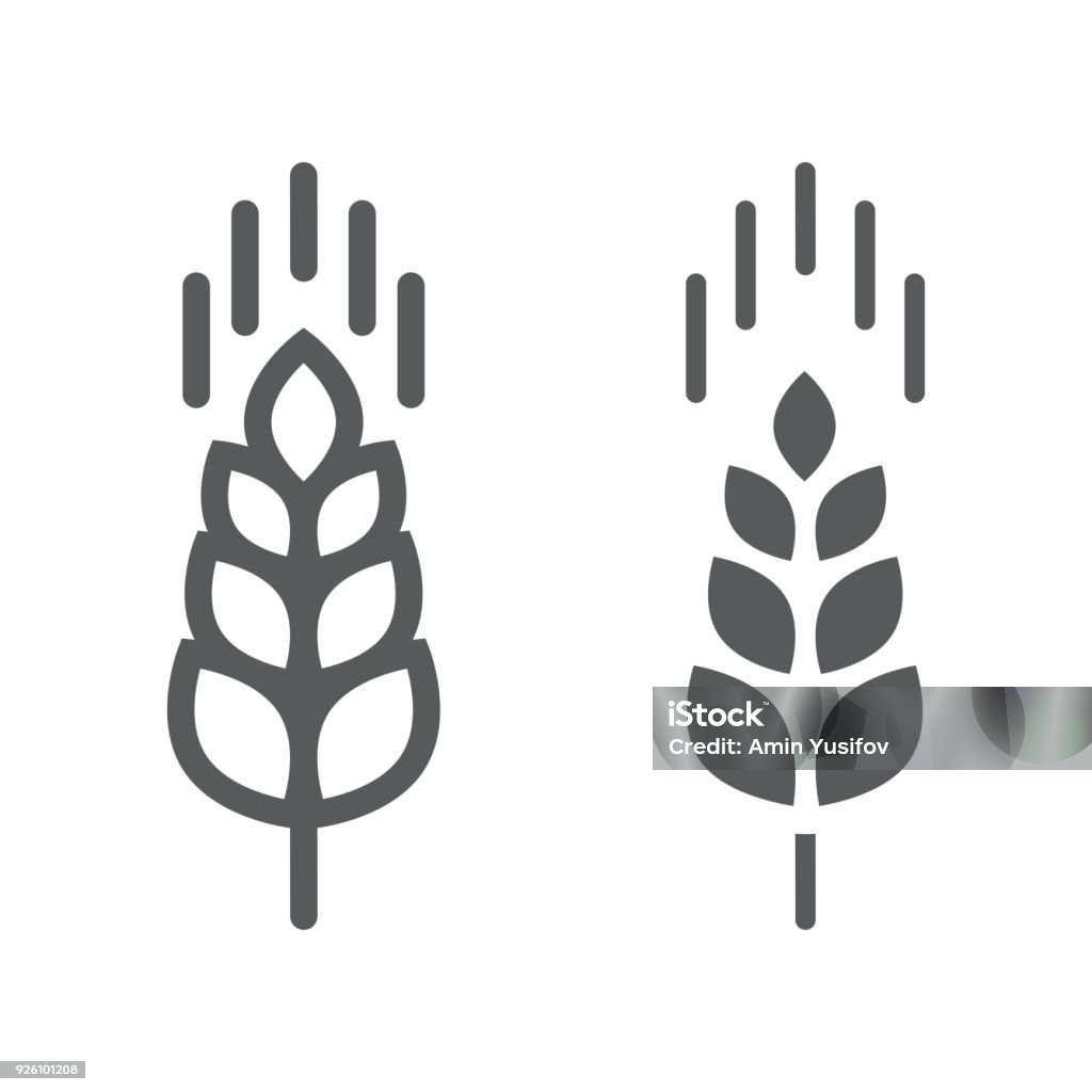 Linea dell'orecchio di grano e icona del glifo, agricoltura e agricoltura, grafica vettoriale del segno di grano, un motivo lineare su sfondo bianco, eps 10. - arte vettoriale royalty-free di Grano - Graminacee