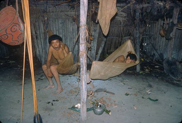 yanomami indigener völker, brasilien - 70er jahre frisur stock-fotos und bilder
