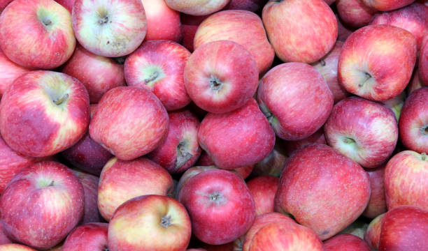 istock red apples for sale at the fruit market 926108214