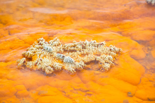istock Wai-O-Tapu Geological feature 926108460