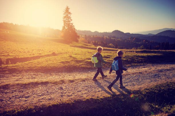istock Two little brothers hiking in mountains 926108696